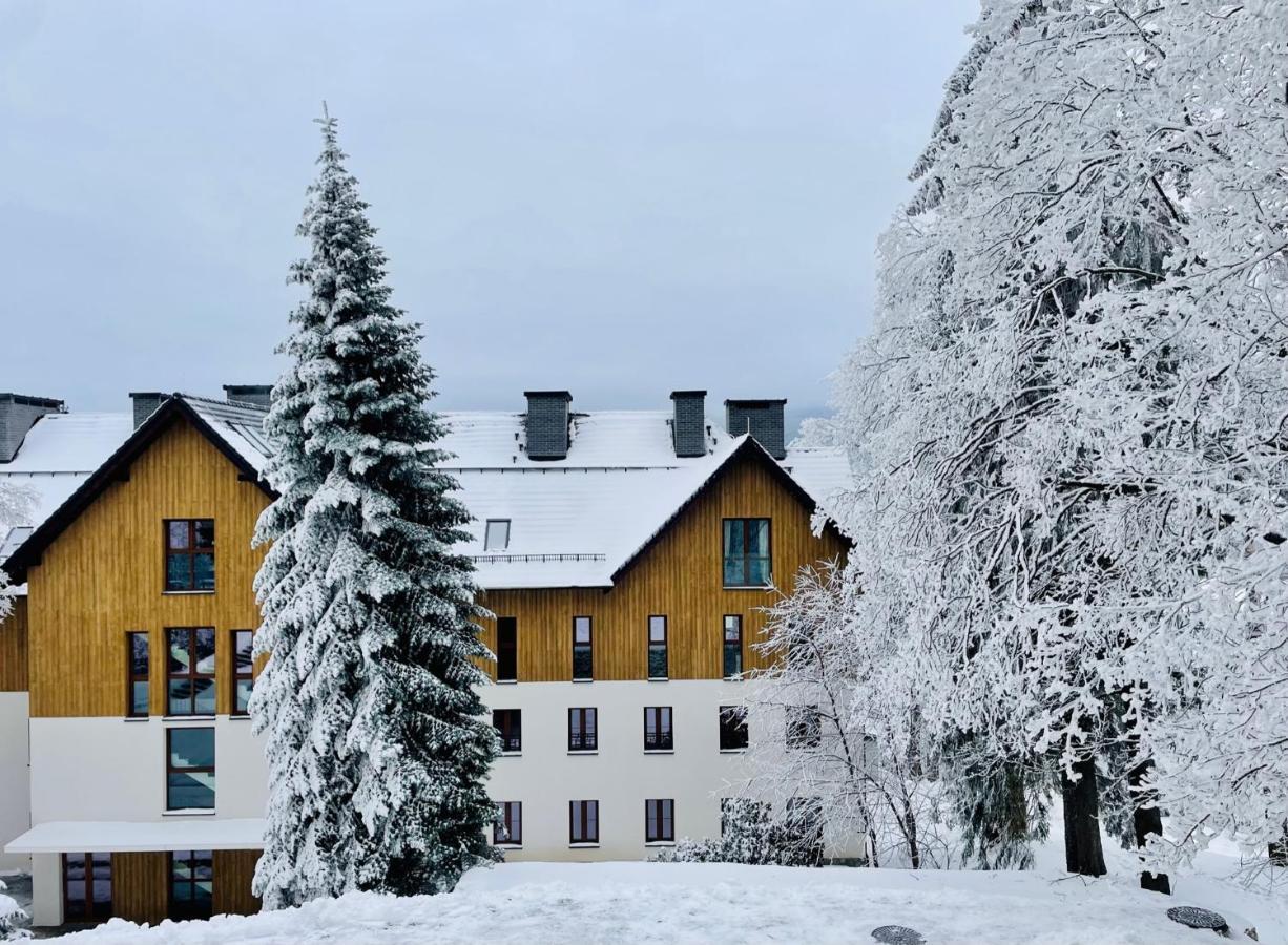 Apartament N&B Шклярска Поремба Екстериор снимка