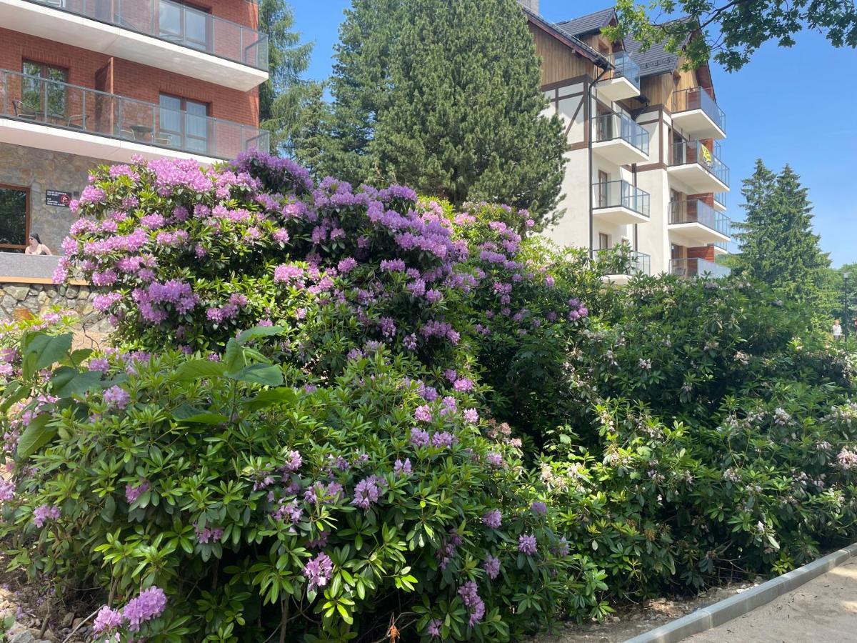 Apartament N&B Шклярска Поремба Екстериор снимка